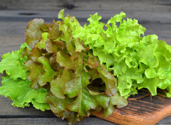 Lettuce