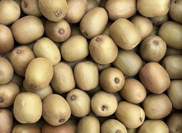 Organic Kiwi Gold(600g)