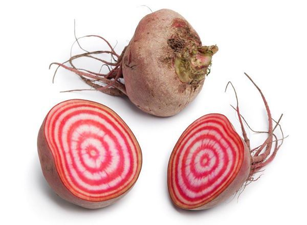 Beetroot Chioggia