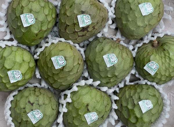 Cherimoya