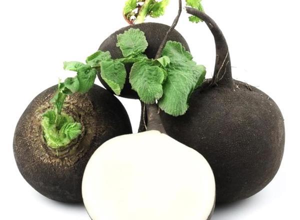 Extra Black Radish Organic