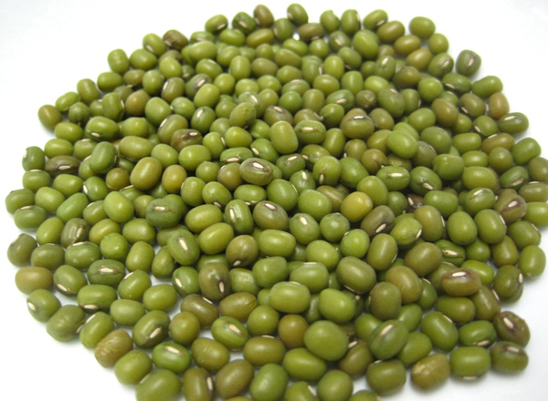 Ffa mwng/Mung Beans 100g (Organically grown)