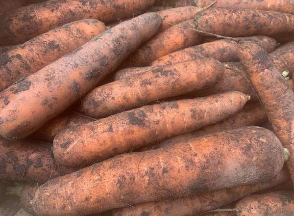 Carrots