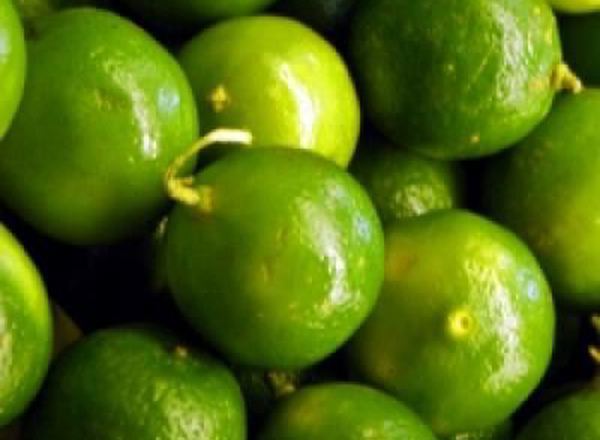 Limes
