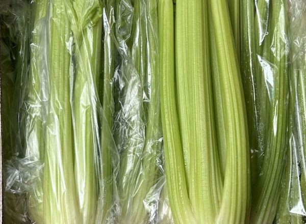 Celery bunch (Spain)