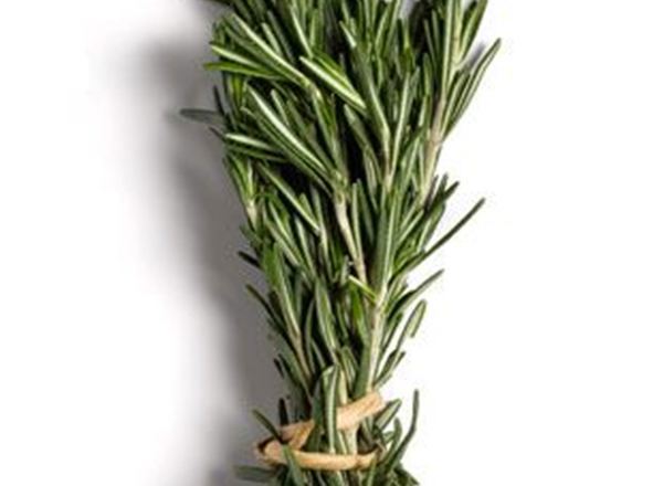 Fresh Rosemary EKG