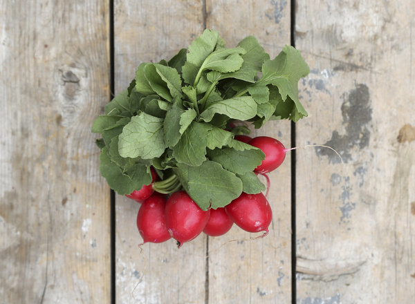 Radish Bunch