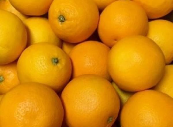 Oranges - Organic ESP