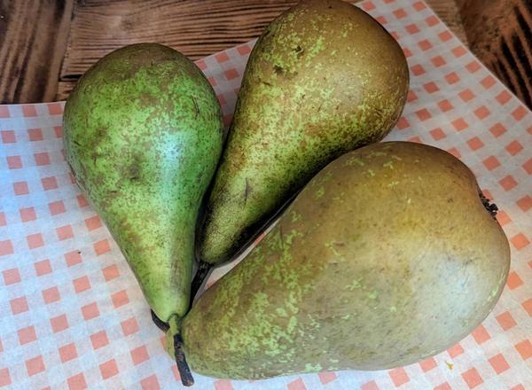 Pears