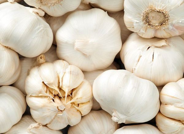 Garlic - single bulb