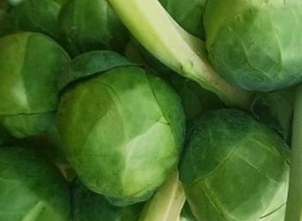 Brussel Sprouts - Organic