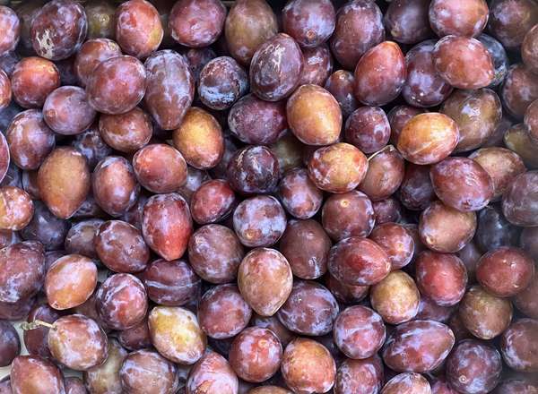 Organic Plums (600g)