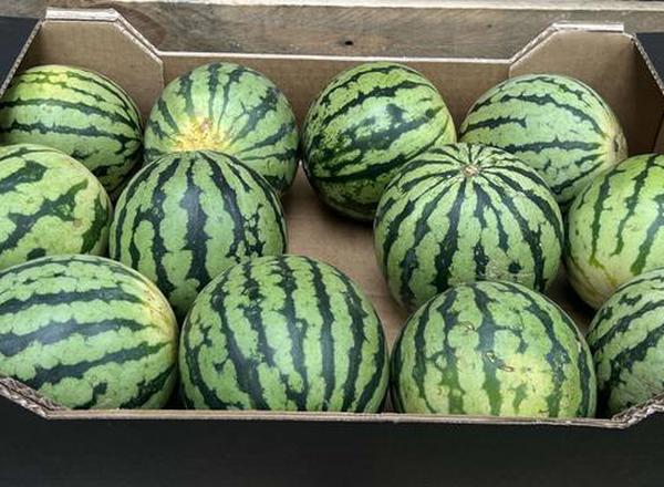 Watermelon