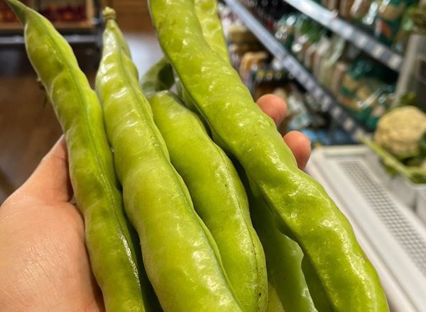 Bean, broad