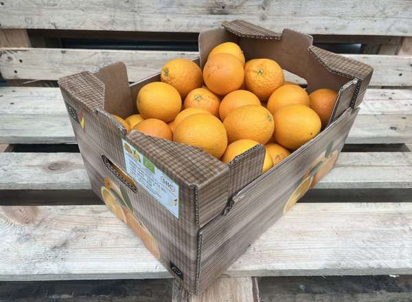 Oranges - Organic Valencia