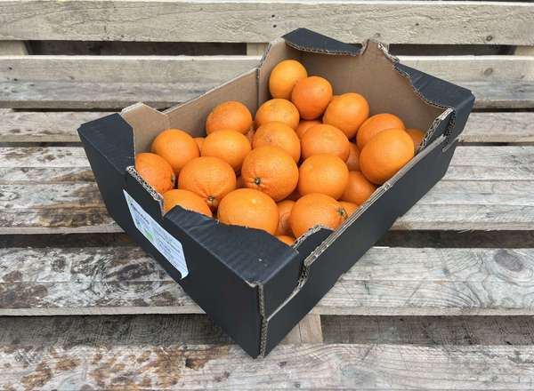 Organic Clementine Ortanique