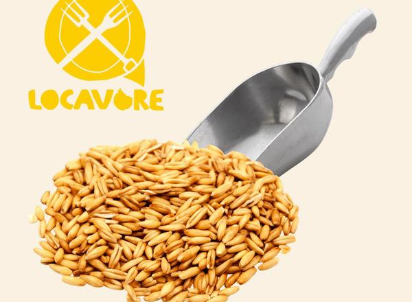 Organic Oat Groats
