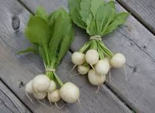 Turnips - Organic