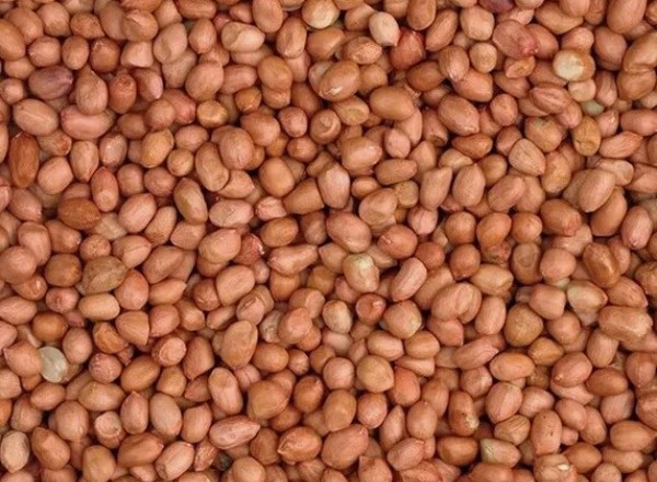 Peanuts - Wild Bird Food 500g