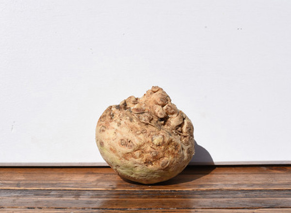 Organic Celeriac