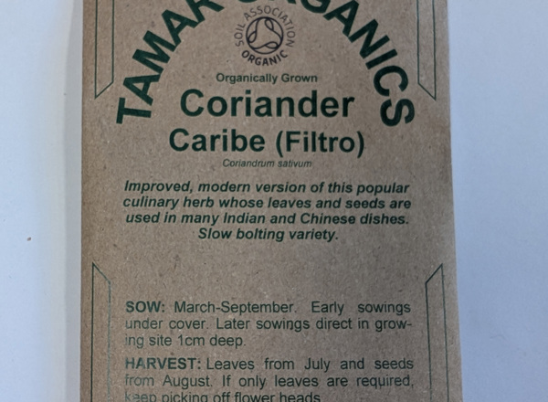 (Seeds) Coriander - Caribe (Filtro)