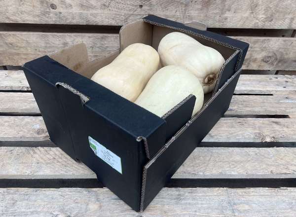 Organic Butternut Squash