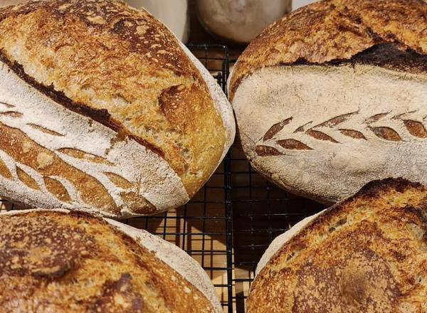 Standard Organic Sourdough Loaf