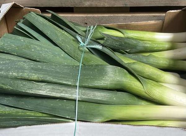 Leeks