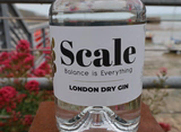 Scale Gin London Dry