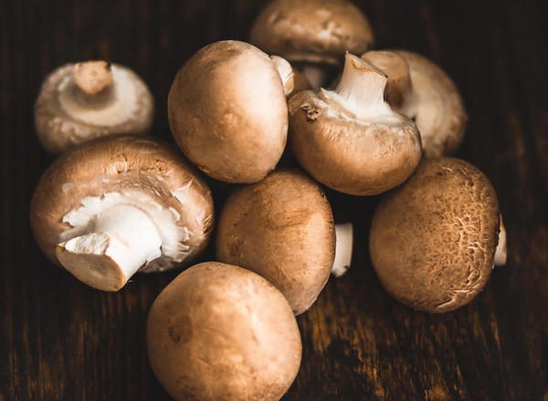 Mushrooms, chestnut