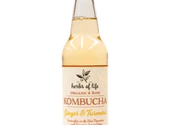 Kombucha Organic: Ginger & Turmeric - HL (Esky Required)