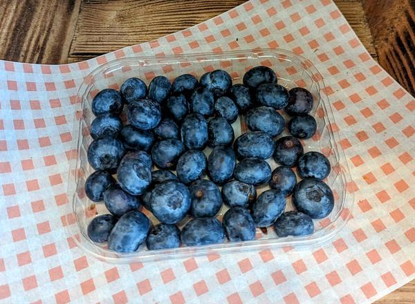 Blueberry Punnet