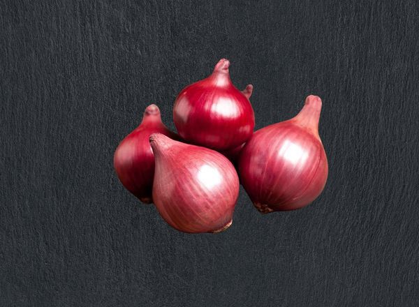 Red Onion