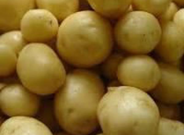 Potatoes - New (Tadcaster, UK)