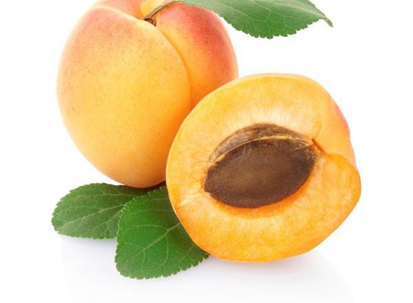 Organic Apricots