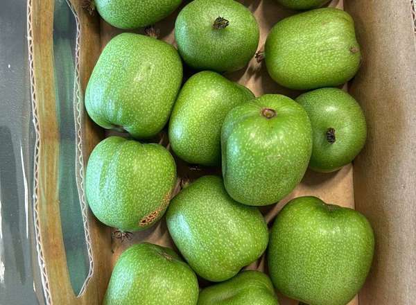 Organic Kiwiberry