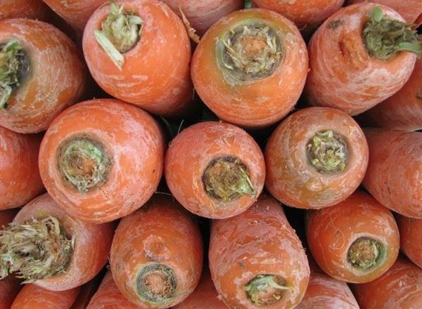 Organic carrots dirty - 1kg