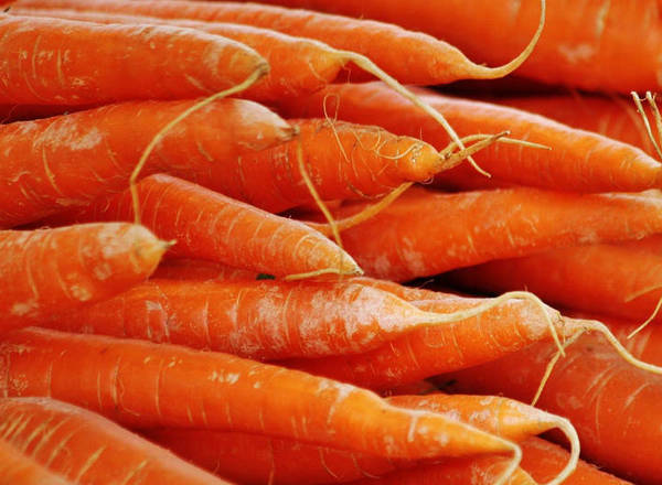 Carrots Organic Canterbury