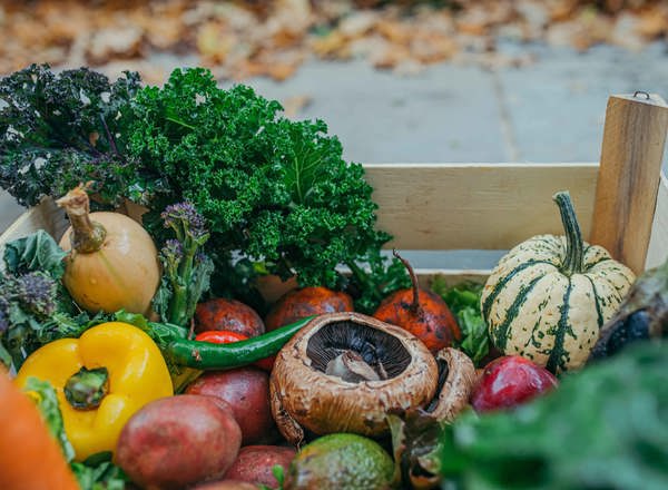 Organic Seasonal Fruit & Veg box