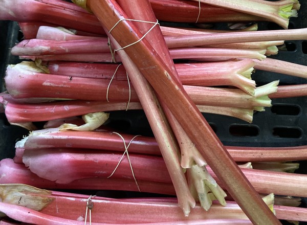 Rhubarb Maincrop (400g)