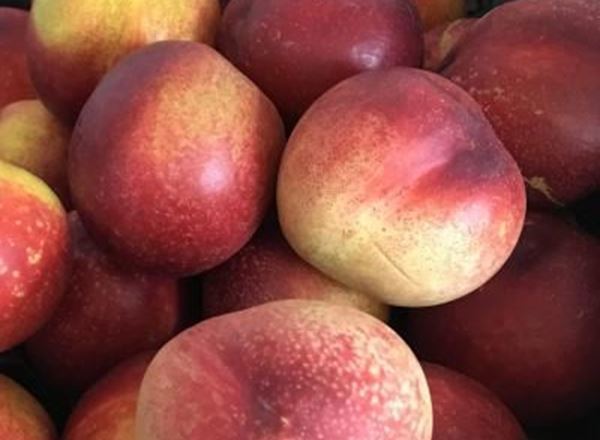 Nectarine - Organic (ES)