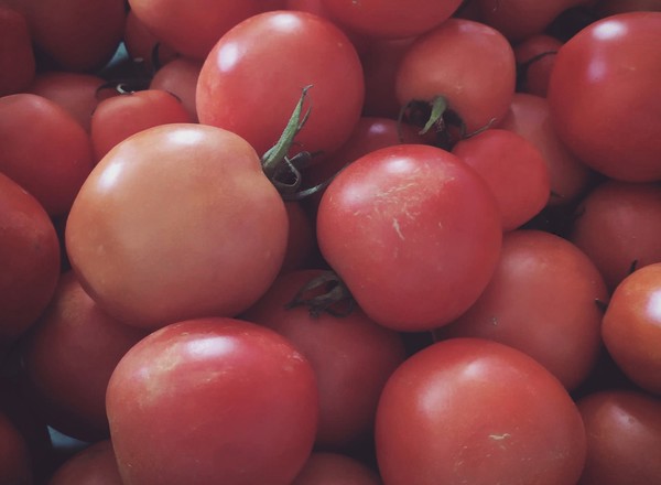 Salad Tomatoes