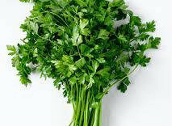 Parsley - fresh organic