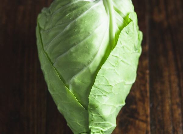 Organic Cabbage (pointy or savoy)