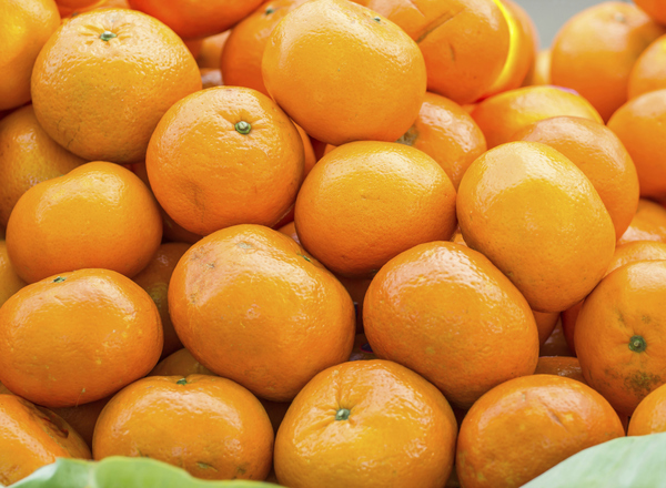 Organic Clementines