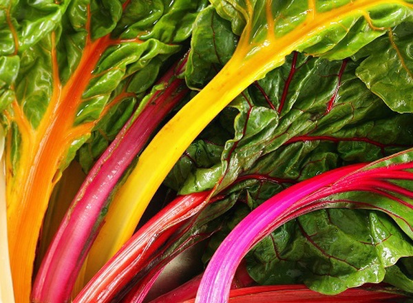 Organic Chard