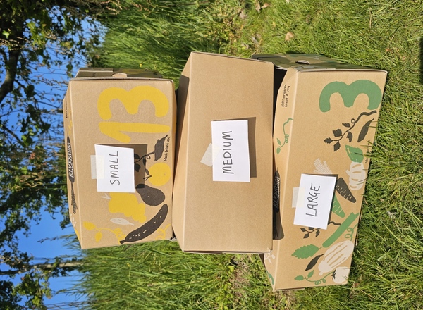 Lomah Veg Box
