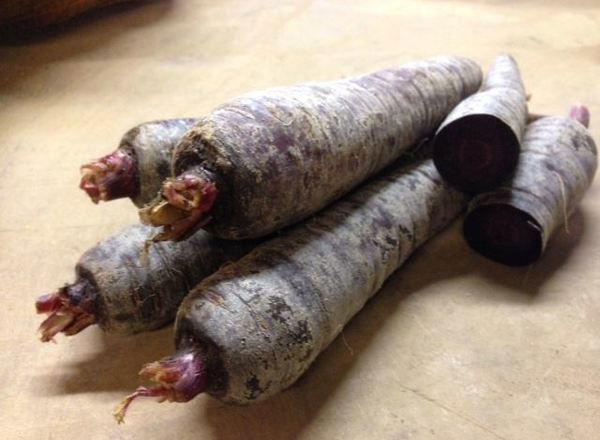 Carrots-Purple Loose