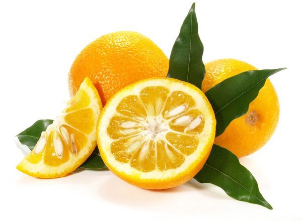 Organic Seville Oranges (1kg)