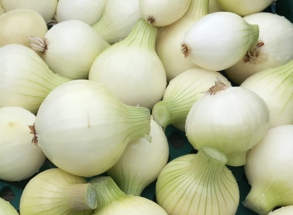Fresh White Onions
